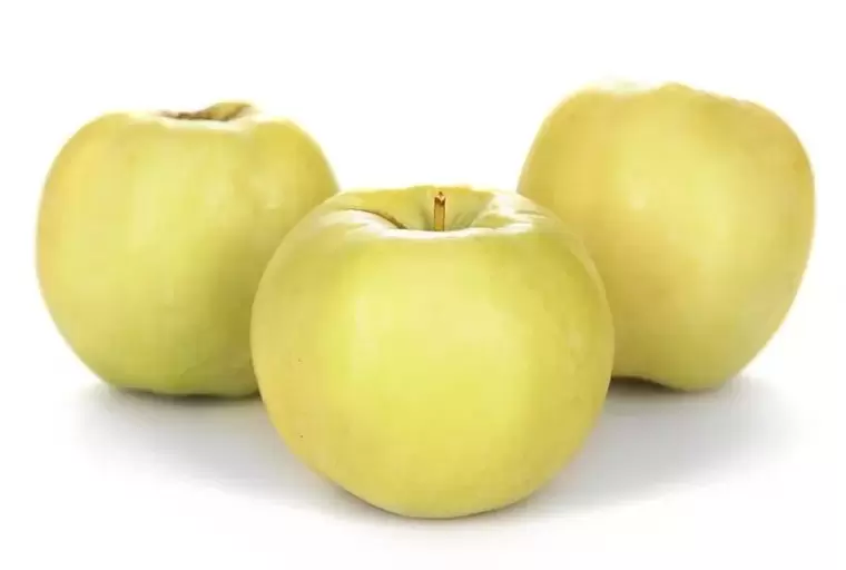 μήλα για τη θεραπεία των κιρσών
